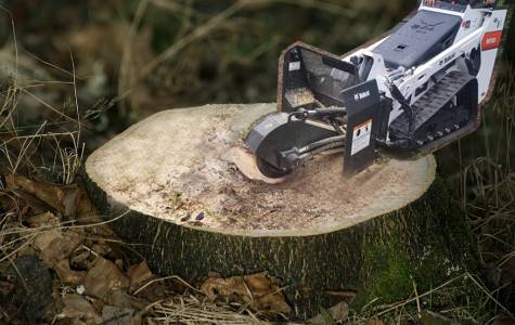 Stump grinder solutions with Bobcat MT100